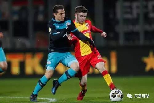 他们可能会 他们可能会